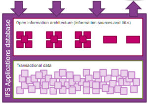 Read more about the article Frameworks Introduction – czyli jak się psuje dobre ERP