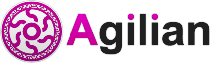 Read more about the article Visual Paragim Agilian 11.0