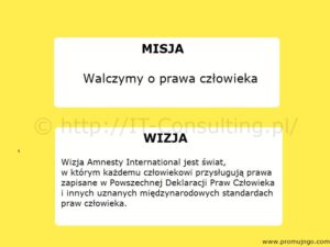 Read more about the article Audyt spójności wizji i misji organizacji z jej działaniami