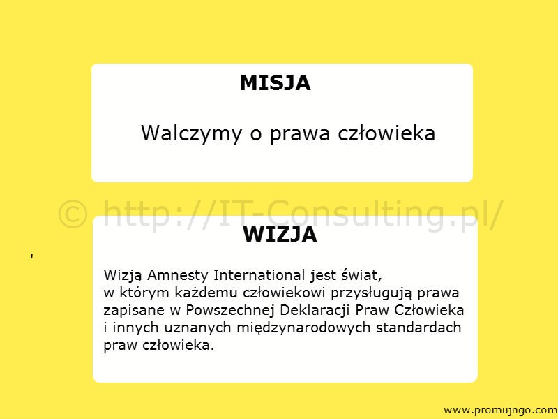 Read more about the article Audyt spójności wizji i misji organizacji z jej działaniami