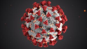 Read more about the article Pandemia COVID – model dedukcyjny
